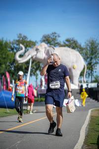 BIB: 
                            <button type="button" onclick="openModal(26543588)" class="btn btn-primary btn-sm float-right btn-popup" data-toggle="modal" data-target=".modal-high-quality">
                        <i class="fas fa-shopping-cart"></i> Add to Cart
                    </button>
                                            <button type="button" onclick="isThisMe(26543588, true)" class="btn btn-success btn-sm float-right btn-popup btn-isme hidden" data-toggle="tooltip" data-placement="bottom" title="นี่คือรูปของคุณใช่ไหม คลิกที่นี่เพื่อเอาเข้าอัลบั้ม">
                        <i class="fas fa-plus"></i> Add to album
                    </button>
                    <button type="button" onclick="isThisMe(26543588, false)" class="btn btn-warning btn-sm float-right btn-popup btn-isnotme hidden">
                        <i class="fas fa-ban"></i> Remove from album
                    </button>